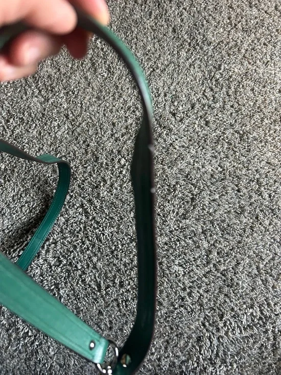 Coach Taupe Signature Crossbody with Green Leather Trim - Picture 9 of 12